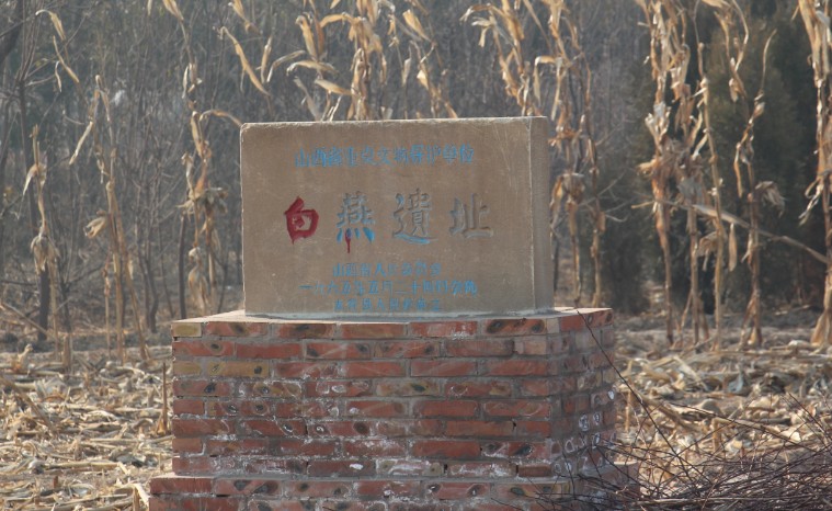 箕子封地始寻根,信院学子初考证